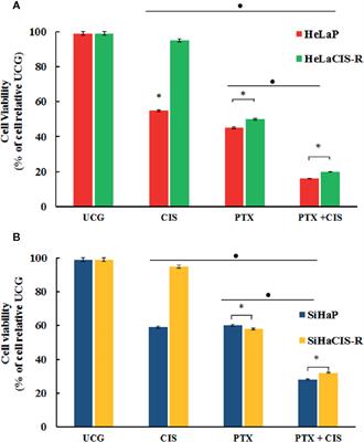 Pentoxifylline Sensitizes Cisplatin-Resistant Human Cervical Cancer Cells to Cisplatin Treatment: Involvement of Mitochondrial and NF-Kappa B Pathways